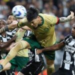 Botafogo aplica goleada e Palmeiras vence fora de casa pela Copa do Brasil – Esportes