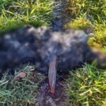 Corpo carbonizado é encontrado nesse domingo em Ponta Porã (MS)