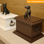 Pet Pax lança planos de benefícios com cremação digna para pets em Campo Grande