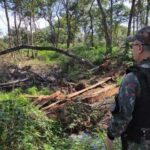 PMA aplica multa de R$ 25 mil por desmate ilegal em Caracol