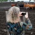“Vacas fantasmas” e uma fortuna desaparecida provocam escândalo financeiro no Uruguai