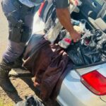 PRF apreende R$ 300 mil em cabelo humano do Paraguai em rodovia de SP