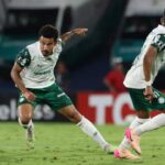 Palmeiras se classifica, Flamengo empata e Bahia perde na Libertadores – Esportes