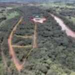 Empresa nega desmatamento em área de preservação às margens do Rio Aquidauana