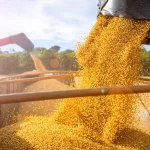 Do campo ao porto: SLC e JSL se preparam para surfar a ‘onda Trump’ nos negócios