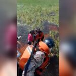 Bolívia: grupo é salvo dias após avião cair em pântano cheio de jacarés