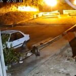 Onça-pintada é flagrada novamente em residência de Corumbá nessa sexta, 6