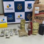 Maconha de R$ 126 mil é apreendida em pacote de tereré