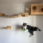 Como Criar um Playground Vertical para Gatos: Dicas e Ideias