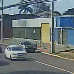 Pinscher Pitoco é levado por motorista em Campo Grande; família busca informações