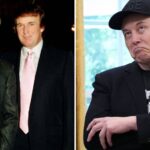 Como Jeffrey Epstein entrou na briga entre Musk e…
