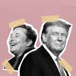 Briga pública entre Trump e Musk derruba ações da Tesla, que caíram 14%